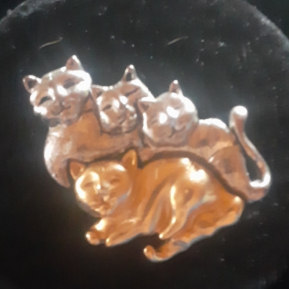 Charming Cat Brooch in Gold and Silver